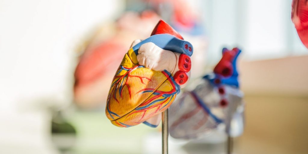 Anatomia de um material educativo de saúde